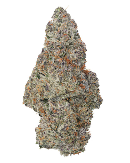 Black Ice Indica