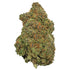 Premium Flower Blue Razz Hybrid Siesta G  Siesta G Dispensary
