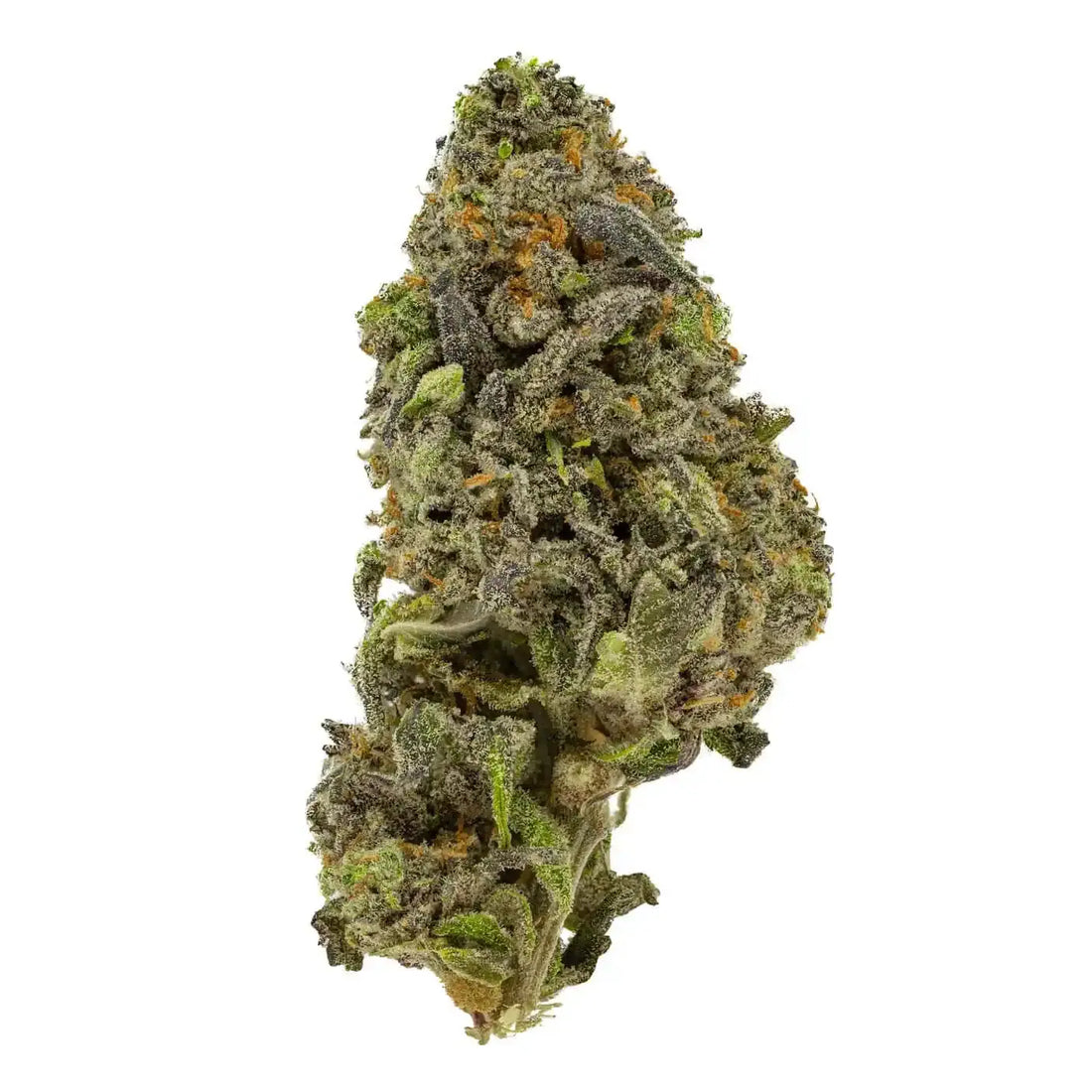 Premium Flower Blueberry Kush Alternative Health Distributioin Siesta G Dispensary