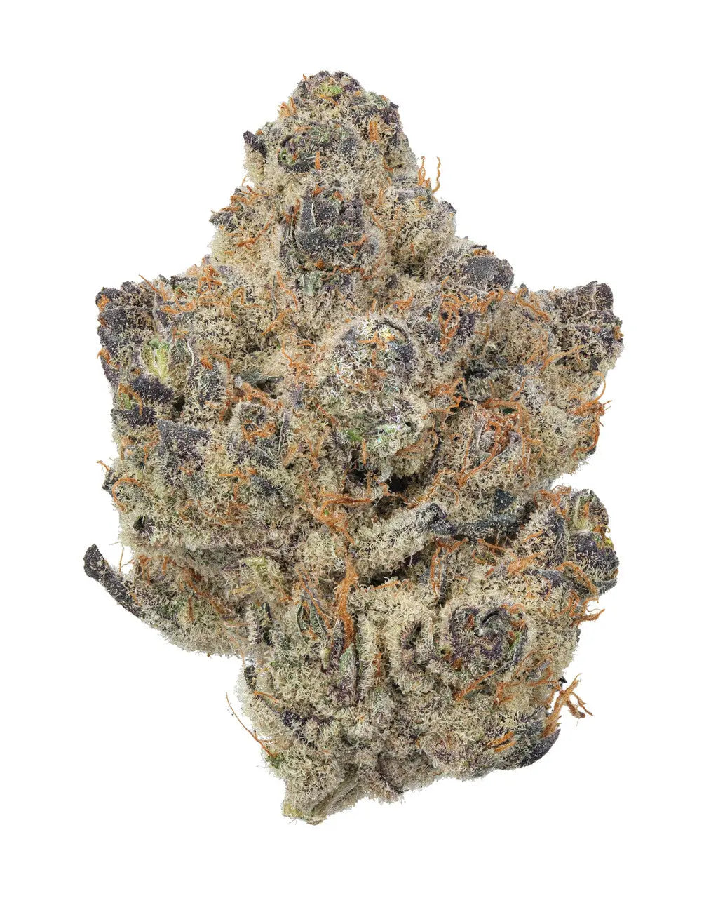 Premium Flower Blueberry Pancake indica Siesta G  Siesta G Dispensary