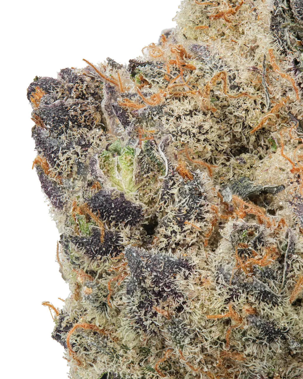 Premium Flower Blueberry Pancake indica Siesta G  Siesta G Dispensary