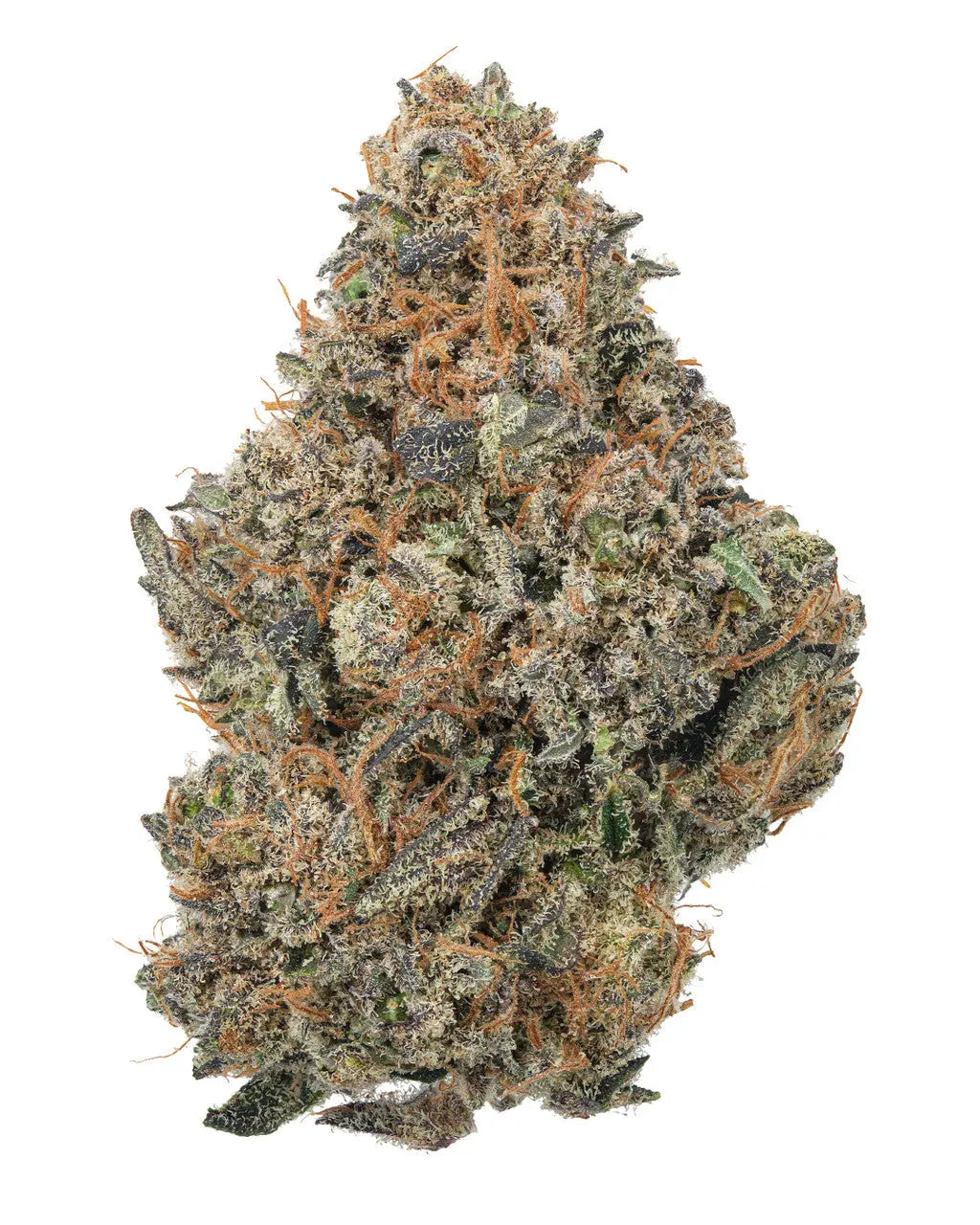 Premium Flower Bubba Kush Indica Siesta G  Siesta G Dispensary