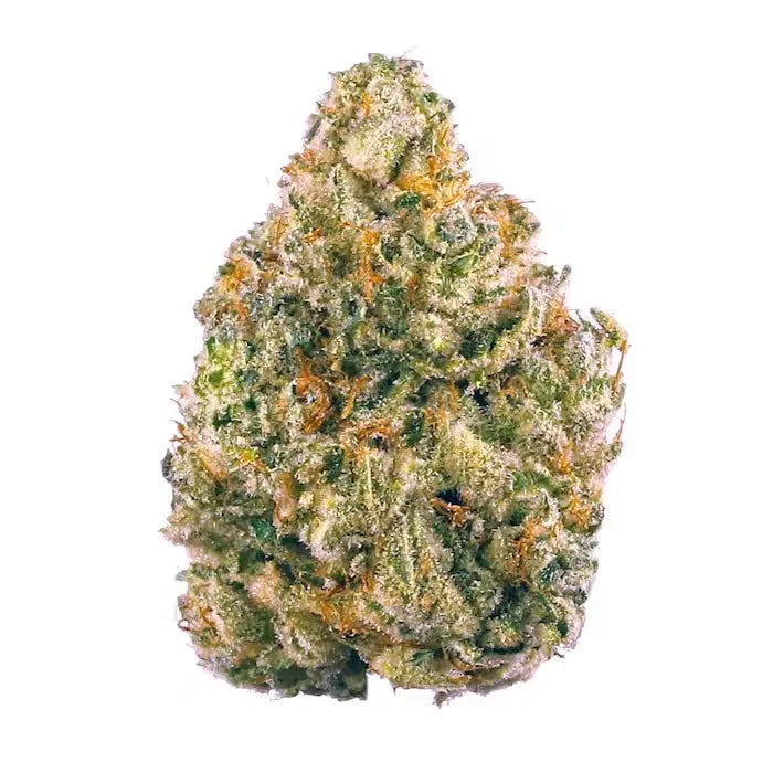 Premium Flower Cactus Cooler Siesta G Siesta G Dispensary