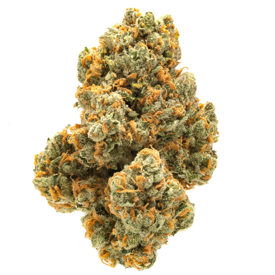 Premium Flower Cali Burger Hybrid Alien Forces LLC Siesta G Dispensary