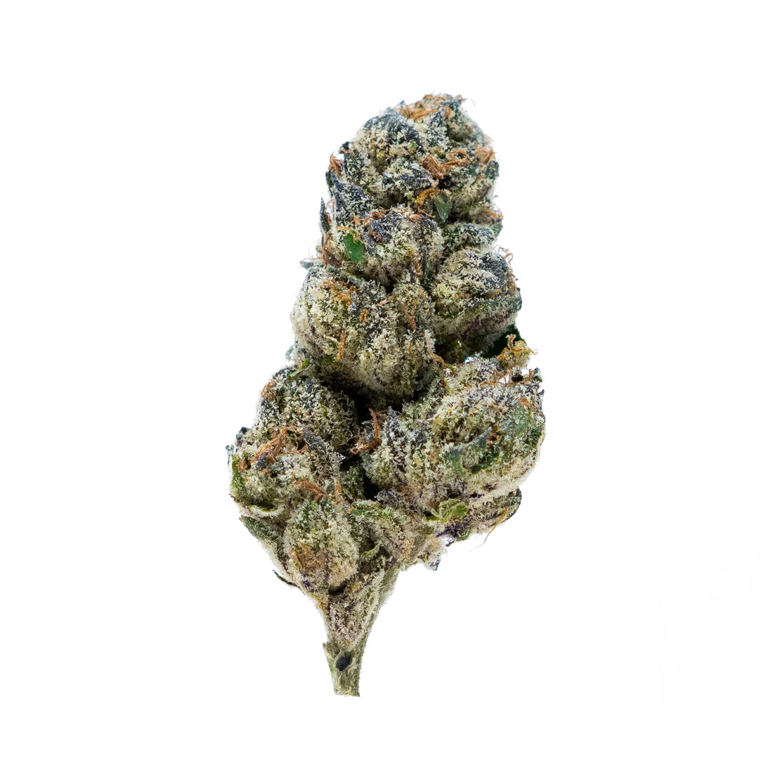 Premium Flower Candy Runtz Hybrid Alternative Health Distributioin Siesta G Dispensary