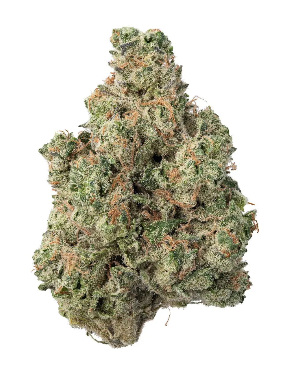 Premium Flower Cheetah Piss Hybrid KCMMM LLC Siesta G Dispensary
