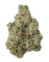 Premium Flower Cheetah Piss Hybrid KCMMM LLC Siesta G Dispensary