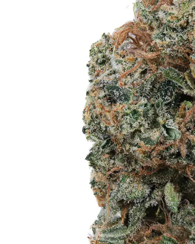 Citron Pie Indoor Premium Cannabis Flower Siesta G Dispensary