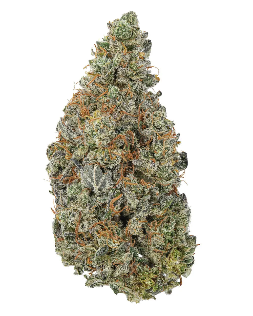 Premium Flower Cookies N&