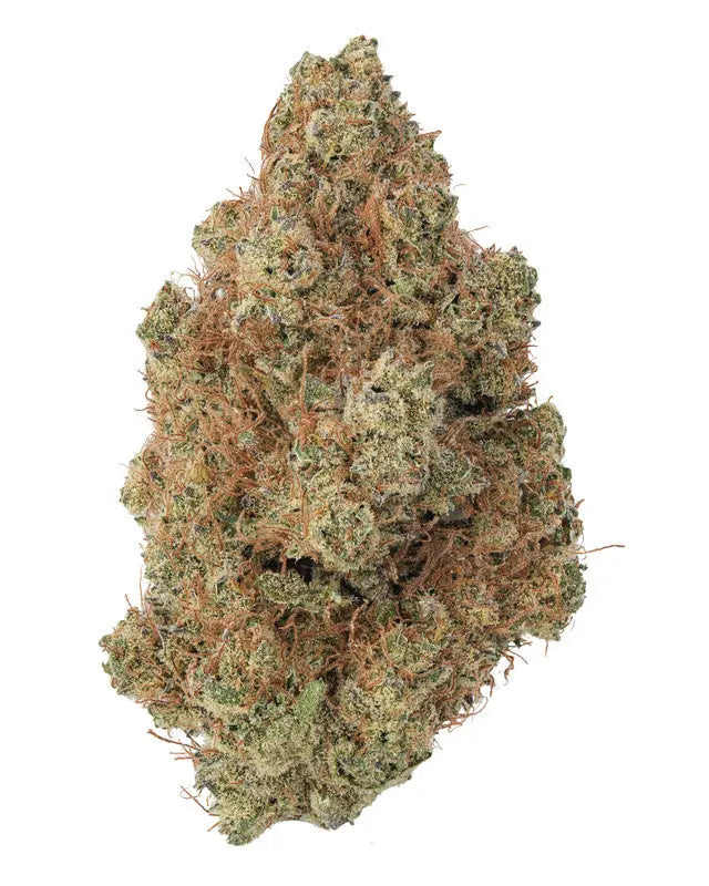 Premium Flower Doc Holiday Hybrid Alternative Health Distributioin Siesta G Dispensary