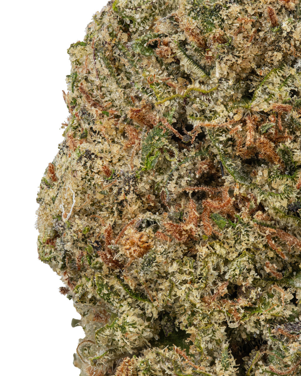 Premium Flower Double Runtz Hybrid Siesta G Siesta G
