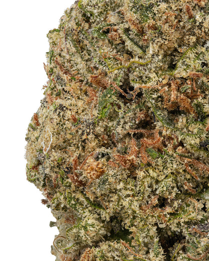 Premium Flower Double Runtz Hybrid Siesta G Siesta G