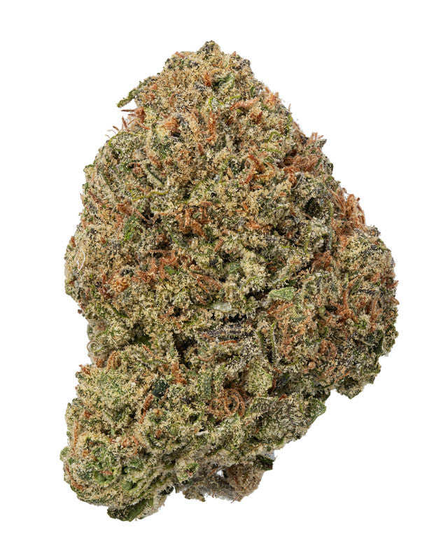 Premium Flower Double Runtz Hybrid Siesta G Siesta G