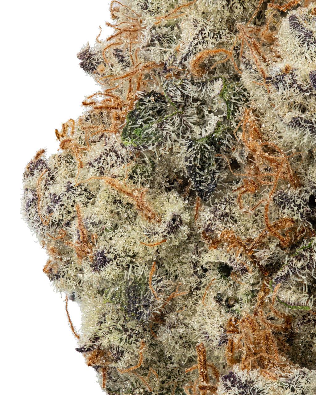 Durban Poison Sativa