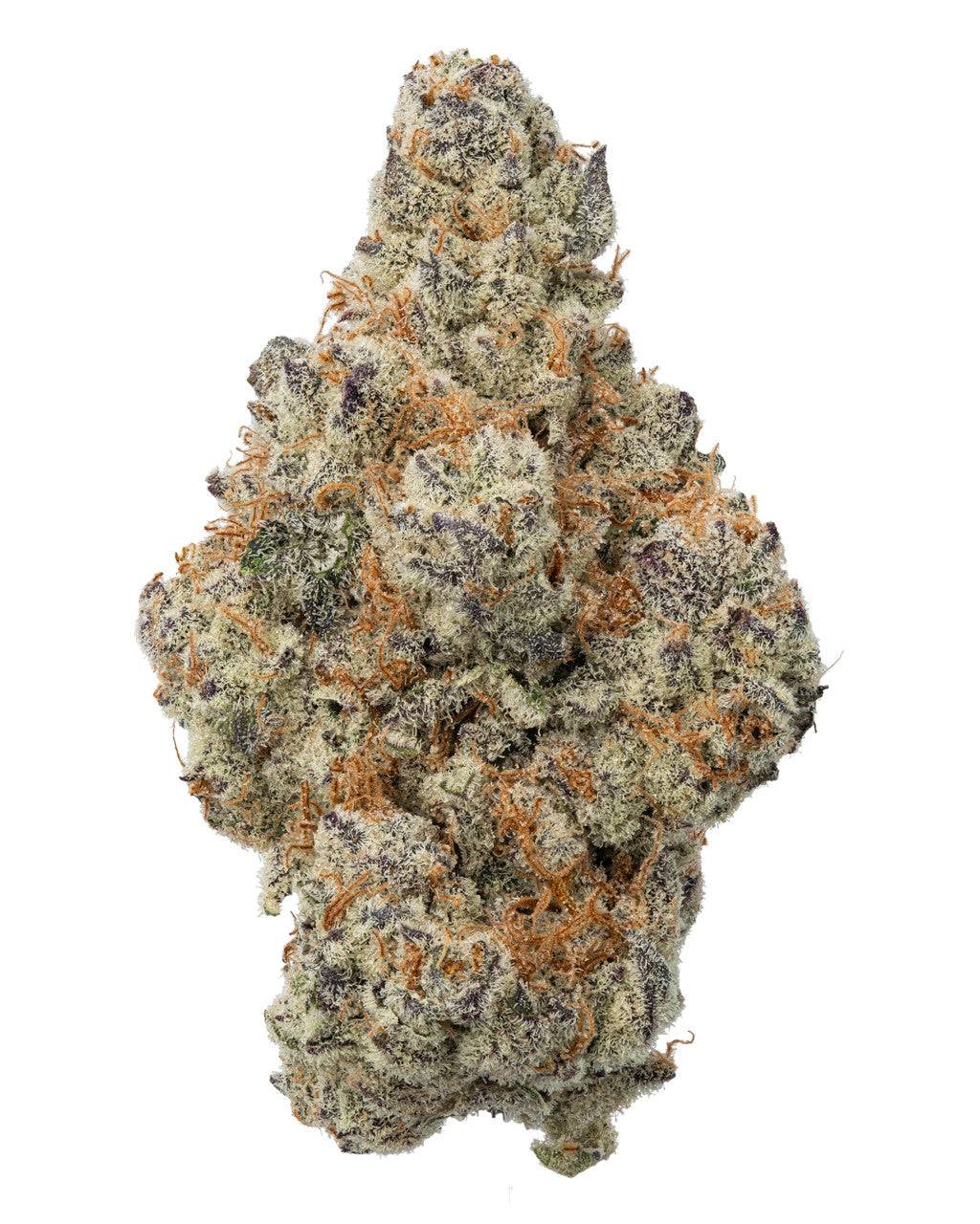 Durban Poison Sativa
