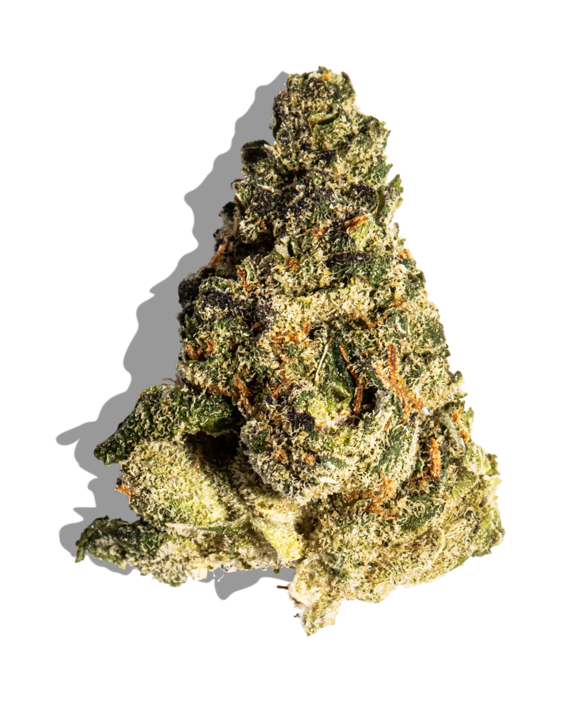 Premium Flower Electric Lemonade Sativa Flow State Siesta G Dispensary