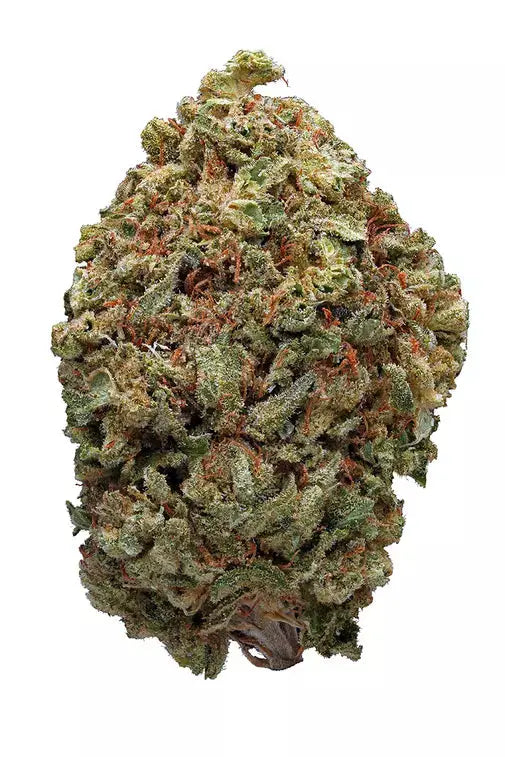 Premium Flower Fruity Pebbles OG Hybrid Siesta G  Siesta G Dispensary