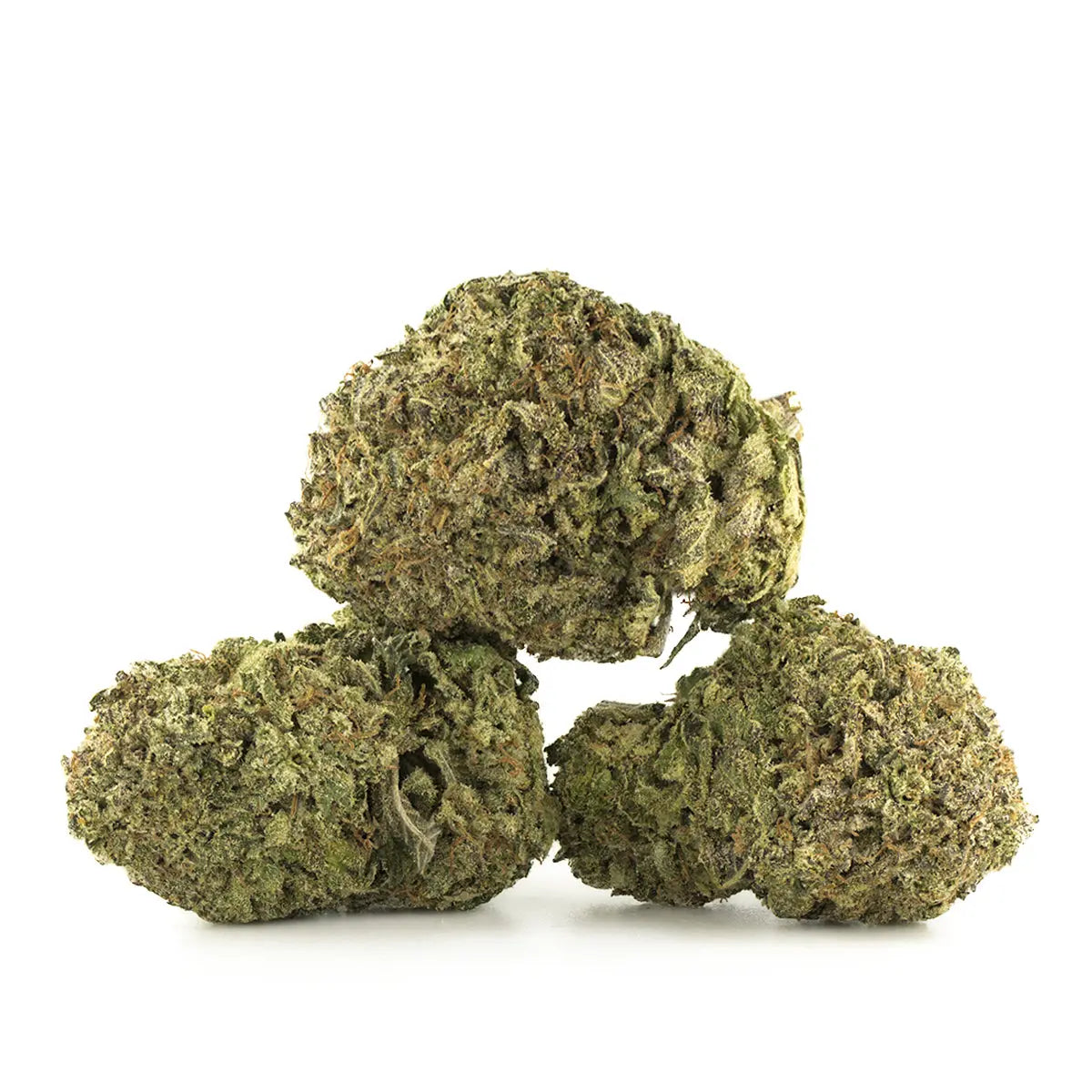 Premium Flower Fuelato Indica Siesta G  Siesta G Dispensary