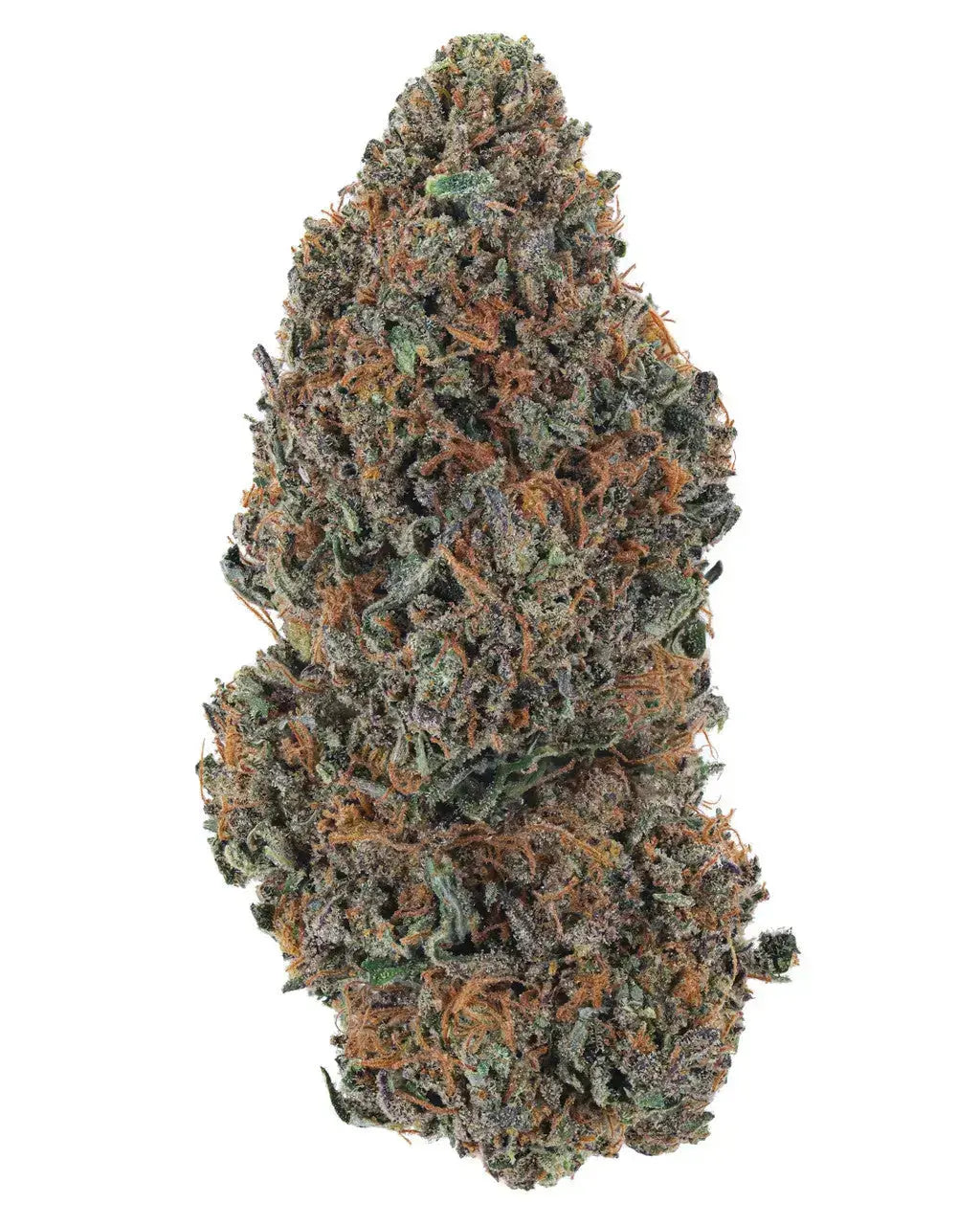 GG4 Indoor Premium Cannabis Flower Siesta G Dispensary