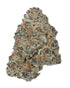 Premium Flower Gary Payton - Hybrid KCMMM LLC Siesta G Dispensary