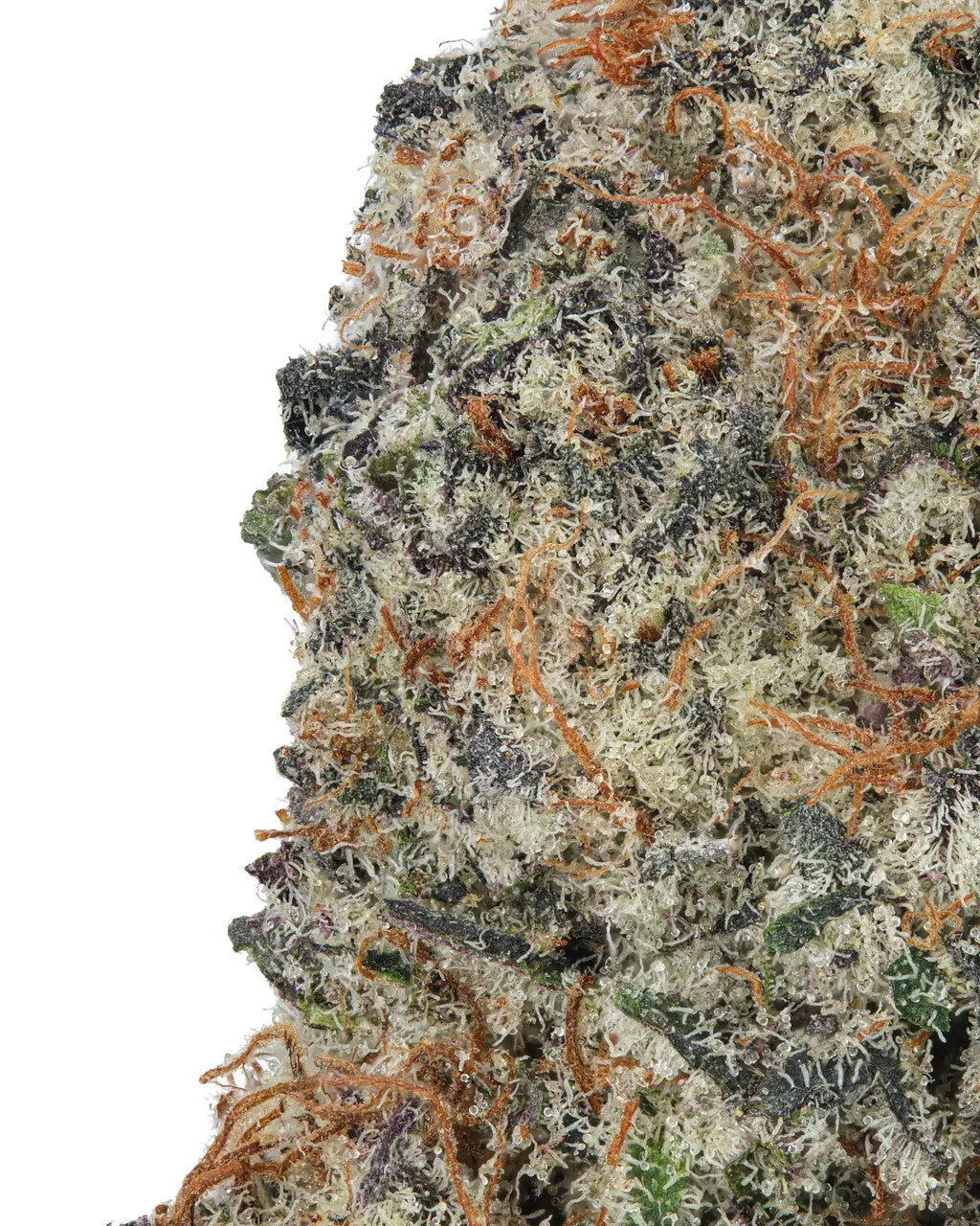 Premium Flower Gary Payton - Hybrid KCMMM LLC Siesta G Dispensary