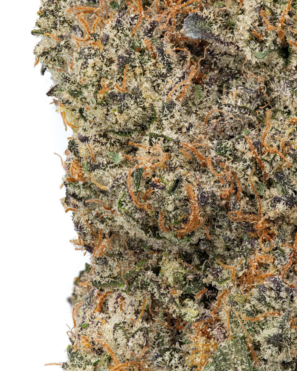 Premium Flower Gelato Float Indica Siesta G Dispensary Siesta G