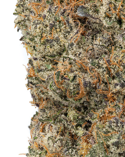 Premium Flower Gelato Float Indica Siesta G Dispensary Siesta G