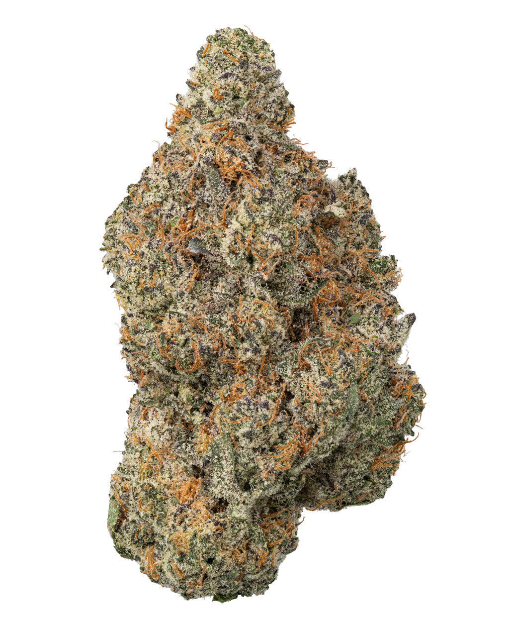 Premium Flower Gelato Float Indica Siesta G Dispensary Siesta G