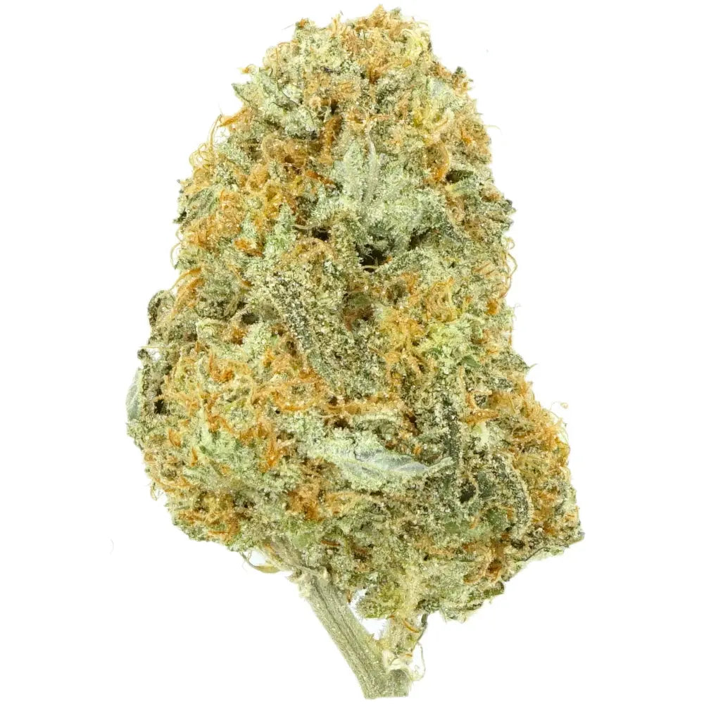 Premium Flower Girl Scout Cookies Hybrid Alternative Health Distributioin Siesta G Dispensary