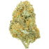 Premium Flower Girl Scout Cookies Hybrid Alternative Health Distributioin Siesta G Dispensary