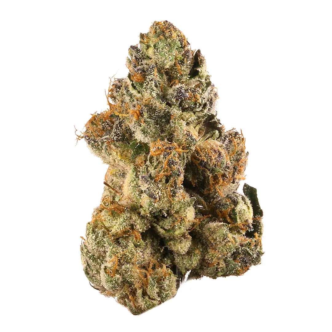 Premium Flower Glazed Donut Hybrid Alternative Health Distributioin Siesta G Dispensary
