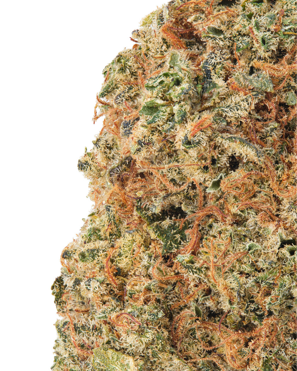 Glazed Apple Hybrid - Sativa