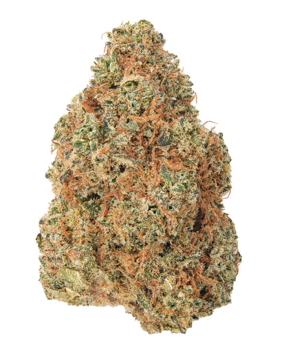 Glazed Apple Hybrid - Sativa