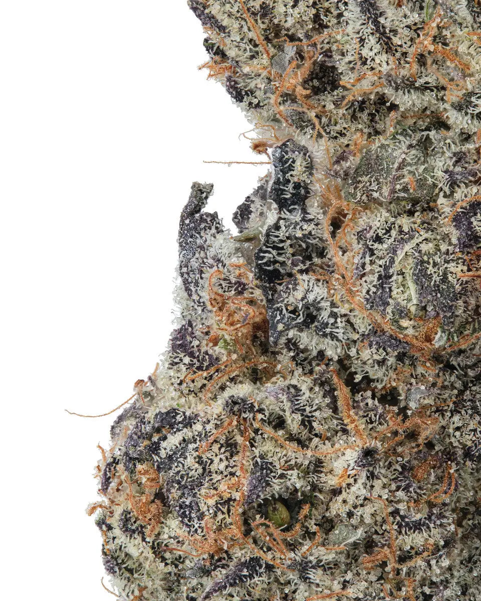 GovernMint Oasis Rare Exotic Indica Siesta G  Siesta G Dispensary
