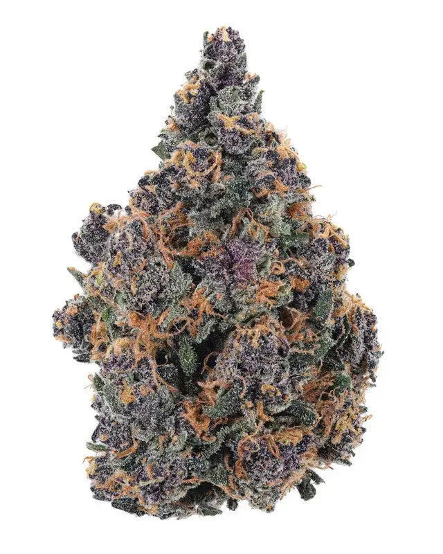 Granddaddy Purple Premium Cannabis Flower Siesta G