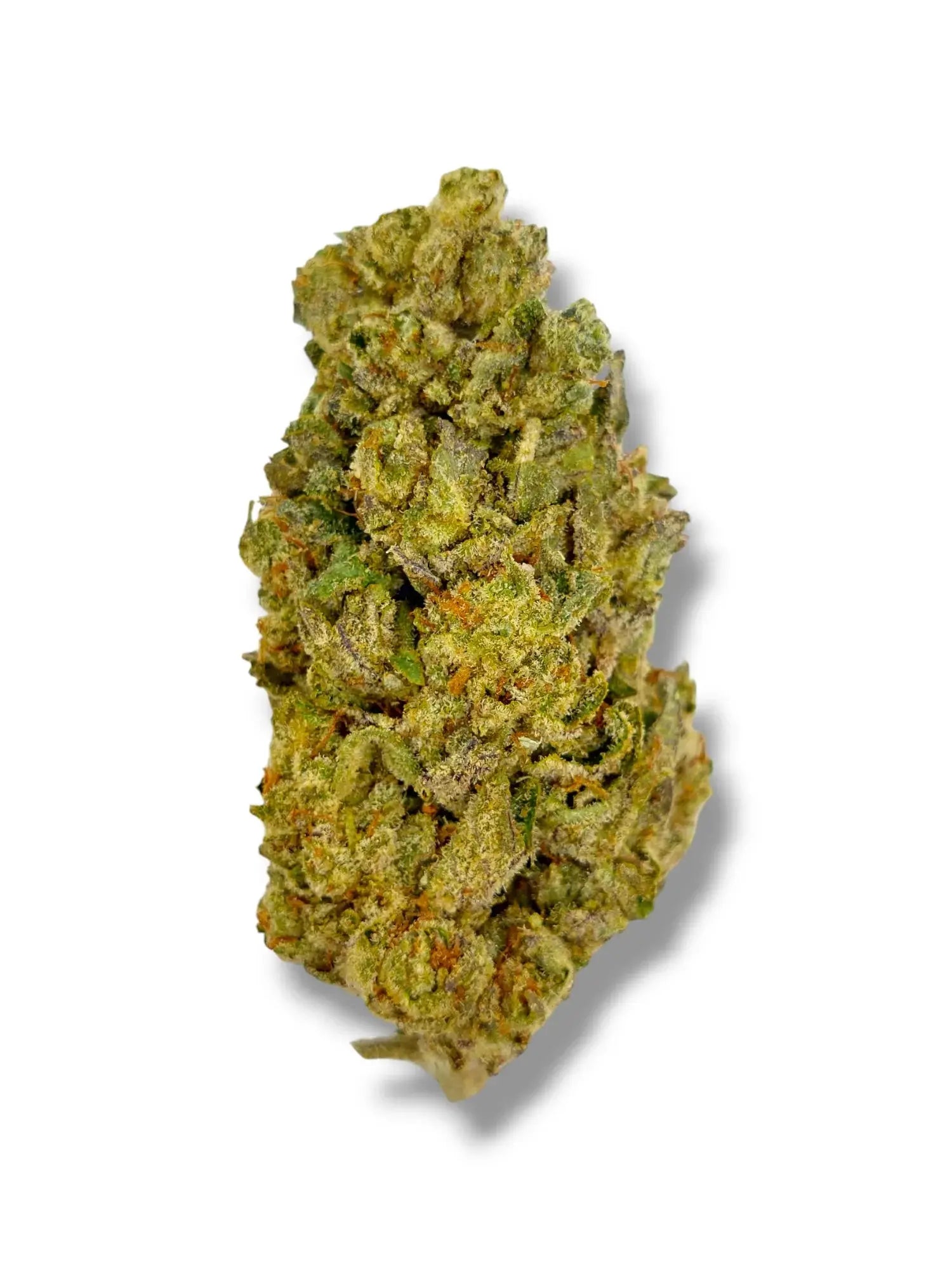 Premium Flower Grape Ape Alternative Health Distributioin Siesta G Dispensary