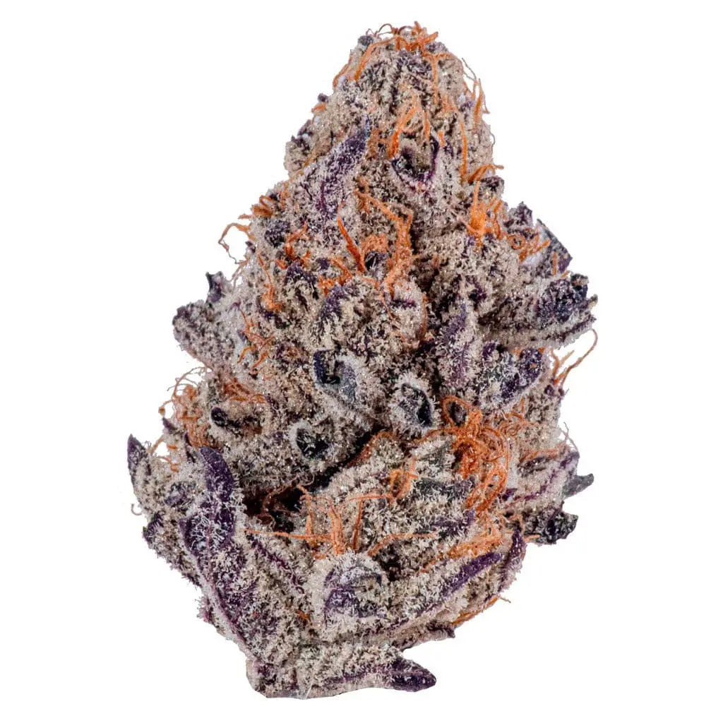 Premium Flower Grape Runtz Hybrid Alien Forces LLC Siesta G Dispensary