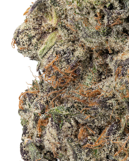 Grape Soda Indica