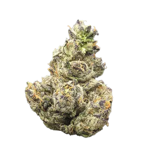 Premium Flower Gruntz Hybrid Siesta G  Siesta G Dispensary