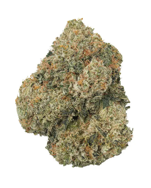 Premium Flower Holy Grail Hybrid Alternative Health Distributioin Siesta G Dispensary