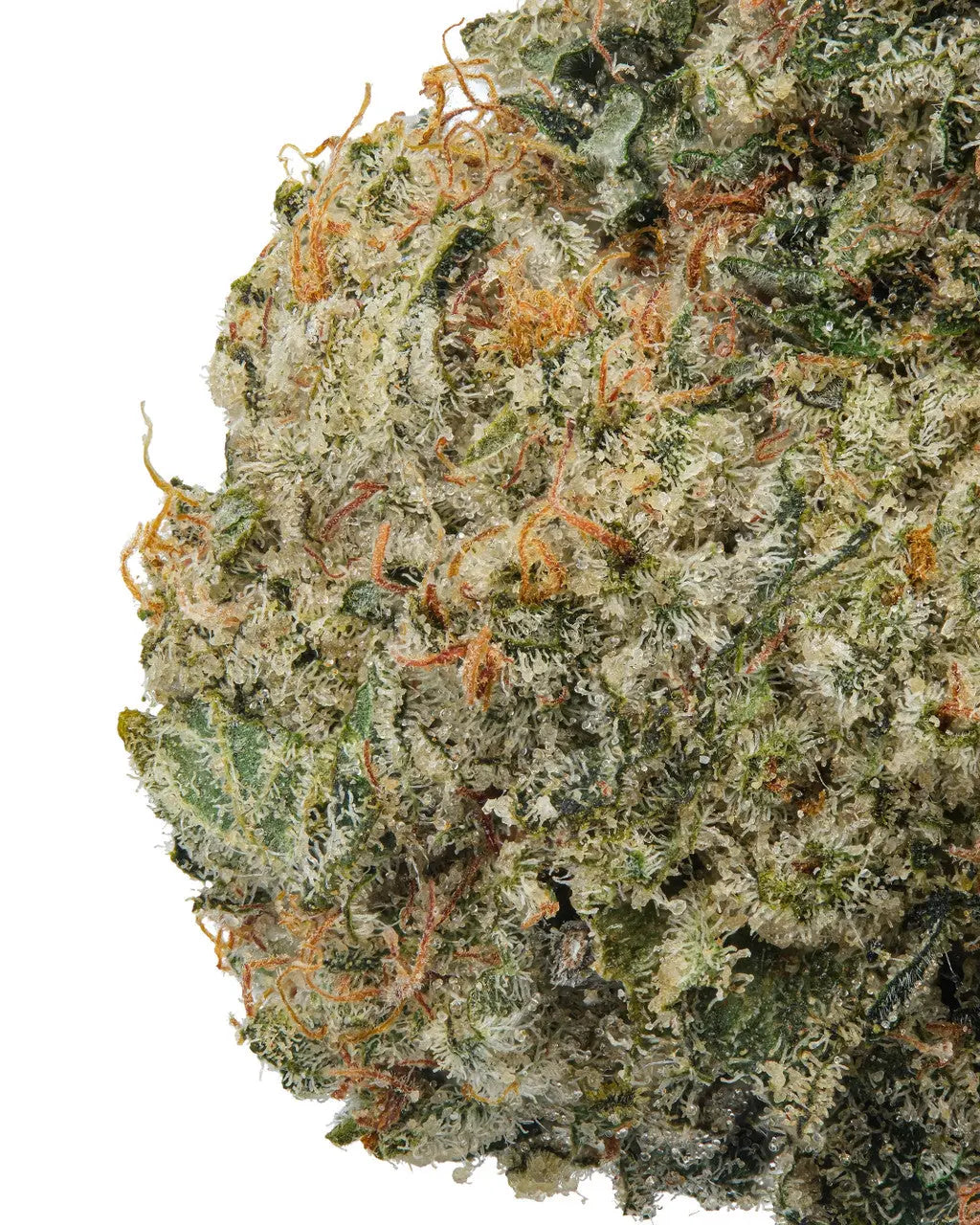Premium Flower Holy Grail Hybrid Alternative Health Distributioin Siesta G Dispensary