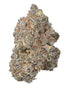 Premium Flower Jack Herer Sativa Siesta G Siesta G