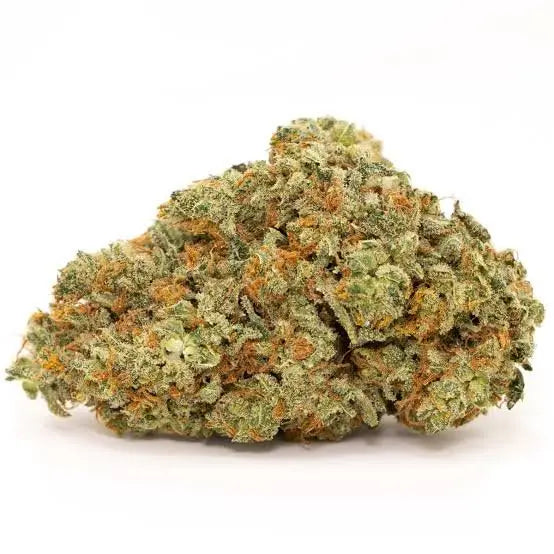 Premium Flower Juicy Fruit Hybrid Siesta G  Siesta G Dispensary