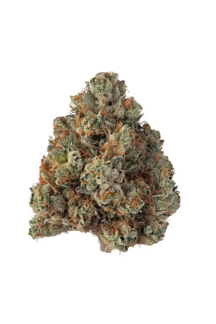 Khalifa Kush Indica Siesta G  Siesta G Dispensary