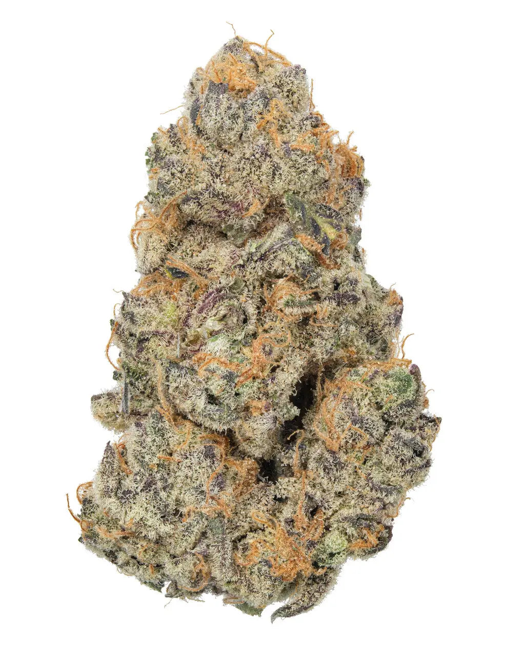Premium Flower Kings Kush Indica Siesta G Siesta G Dispensary