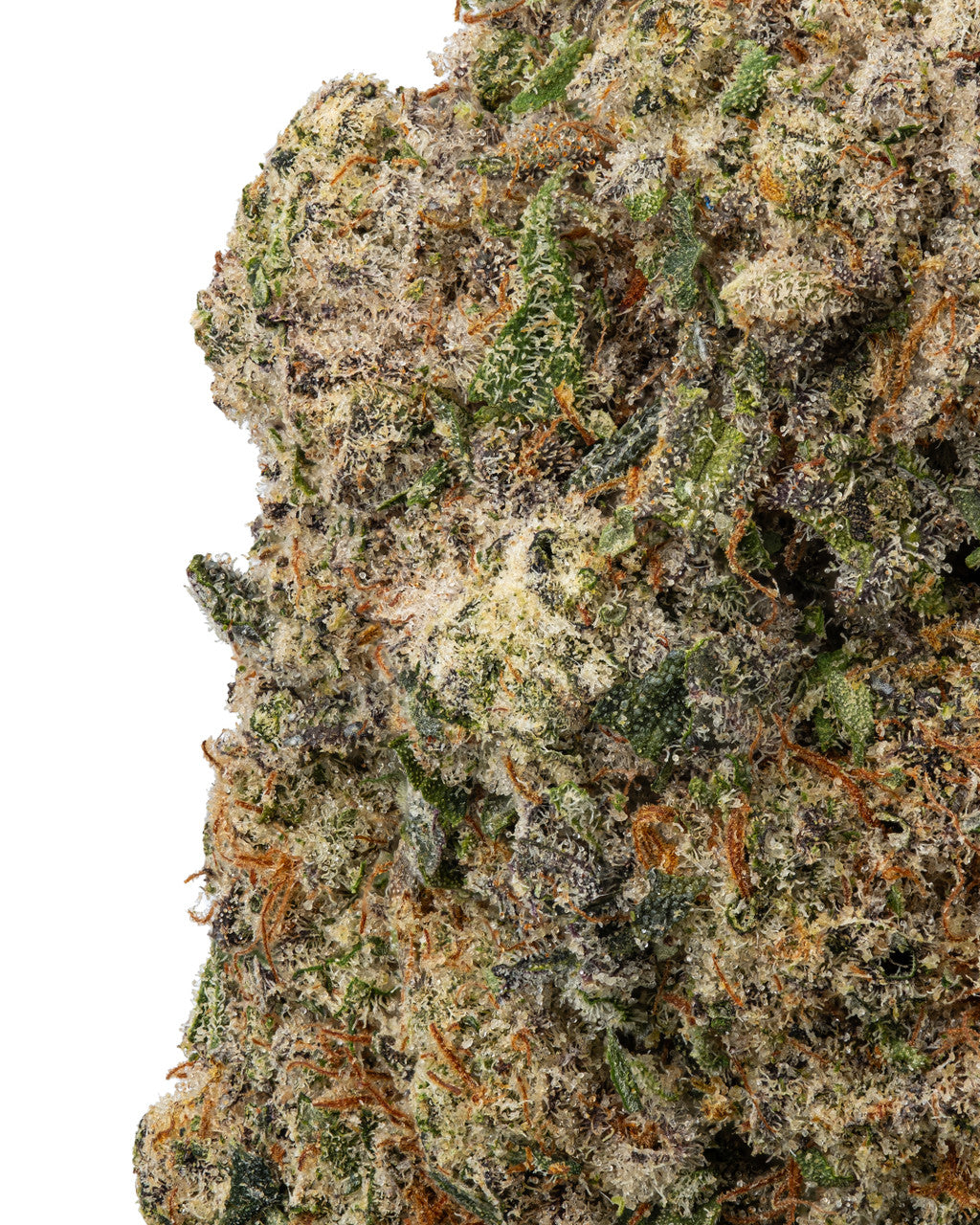 Lava Cake Indica