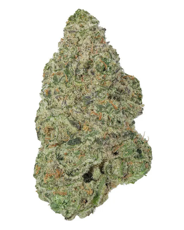 Premium Flower Mandarin OG Alternative Health Distributioin Siesta G Dispensary