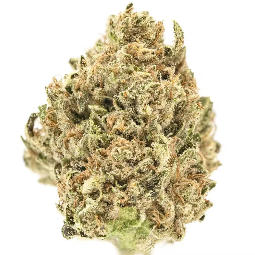 Premium Flower Mango Sherb Indica Alternative Health Distributioin Siesta G Dispensary