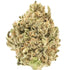Premium Flower Mango Sherb Indica Alternative Health Distributioin Siesta G Dispensary