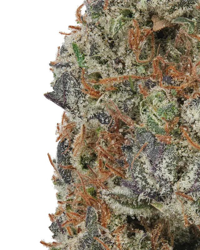 Premium Flower Mauie Wowie Sativa Flow State Siesta G Dispensary